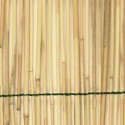 Palisada z surowego bambusa