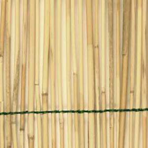 Stockade de bambou brut