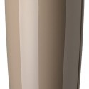 Flowerpot musa