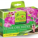 Orquídeas elixir de joaninhas