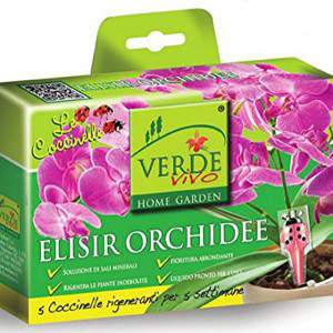 Orquídeas elixir de joaninhas