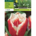 Kosz Tulipa
