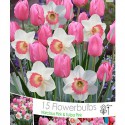 Mezcla de tulipán y rosa daffode