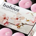 Bolsius fragrance lights magnolia