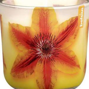 Gelbe Clematis süße Blüte Kerze Glas