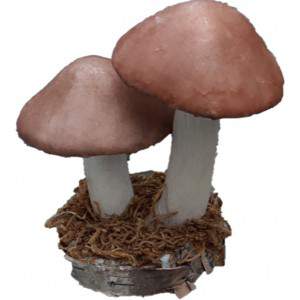 Cogumelos decorativos com plinth
