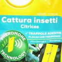 solabiol cítrico insecto adhesivo trampas 5 piezas con feromonas