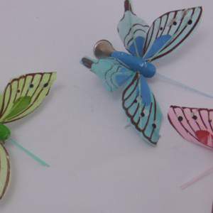 Papillons, Nouveau10