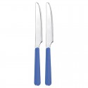 SET 2 TRENDY BLUE KNIFE