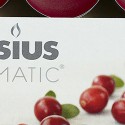 Bolsius fragrance lights box cranberry