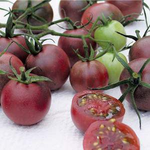 Pomodorini ciliegini rosso scuro
