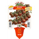 Tomatoes Black Cherry