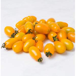 Kolekcja żółtych pomidorów datterini