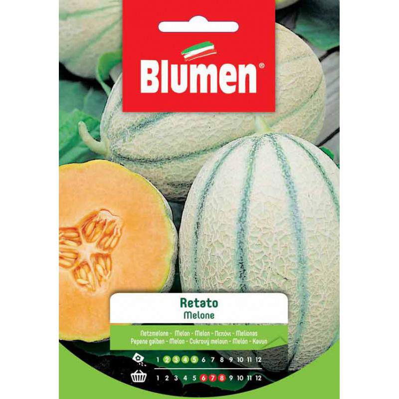 Melone Retato semi Melone Retato semi