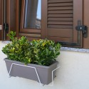 White 40 cm sylvan with green plants on window with closed shutter.