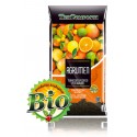 Terriccio para Citrus TerComposti 45 litros