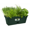 Green basics trough mini 30 cm