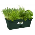 GREEN BASICS TROUGH MINI 30 CM verde scuro