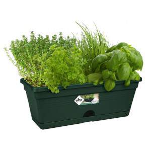 Green basics trough mini 30 cm