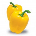 Yellow square pepper