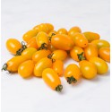 Skate yellow cherry tomatoes