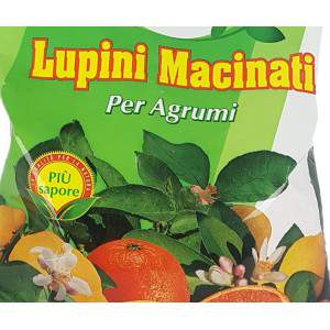 GROUND LUPINS for Citrus Fruits