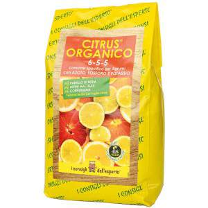 Sacchetto citrus organico