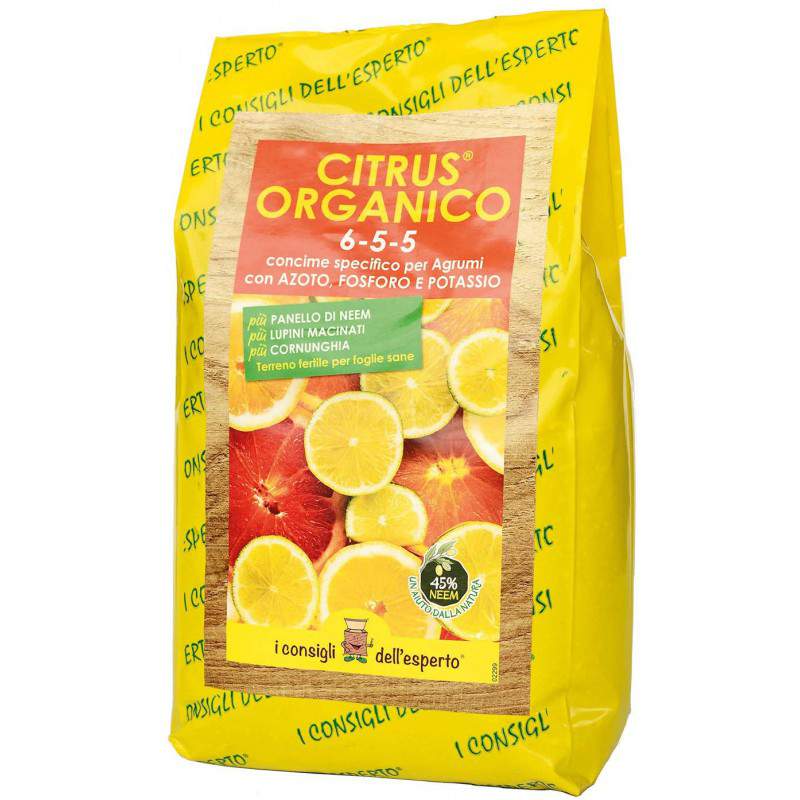 Organic citrus bag