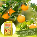 Agrumi citrus organico