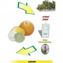 Citrus spray - before flowering phase
