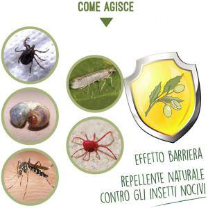 Olio di Neem - come agisce