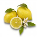 frutas de limão e flor