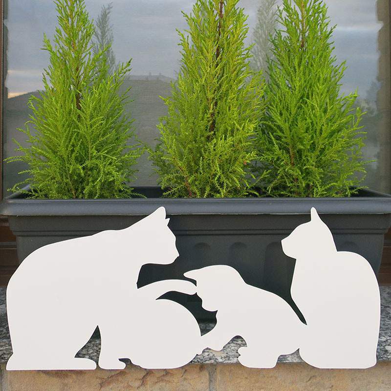 vasosicuro gatos blancos vasosicuro gatos blancos