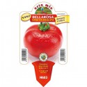 Ensalada de tomate enano Bellarosa