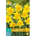Lâmpada de daffodils amarelo Carlton