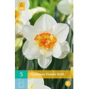 narcissous birne flowerdrift weiß