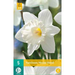 white mount hood daffodil bulb with yellow pistil