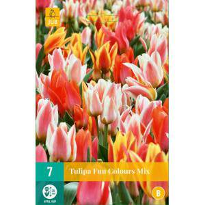 Bulbos de tulipán de Fun Colors