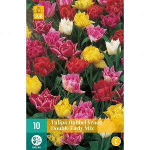 tulip bulb doubble mixed double vroeg