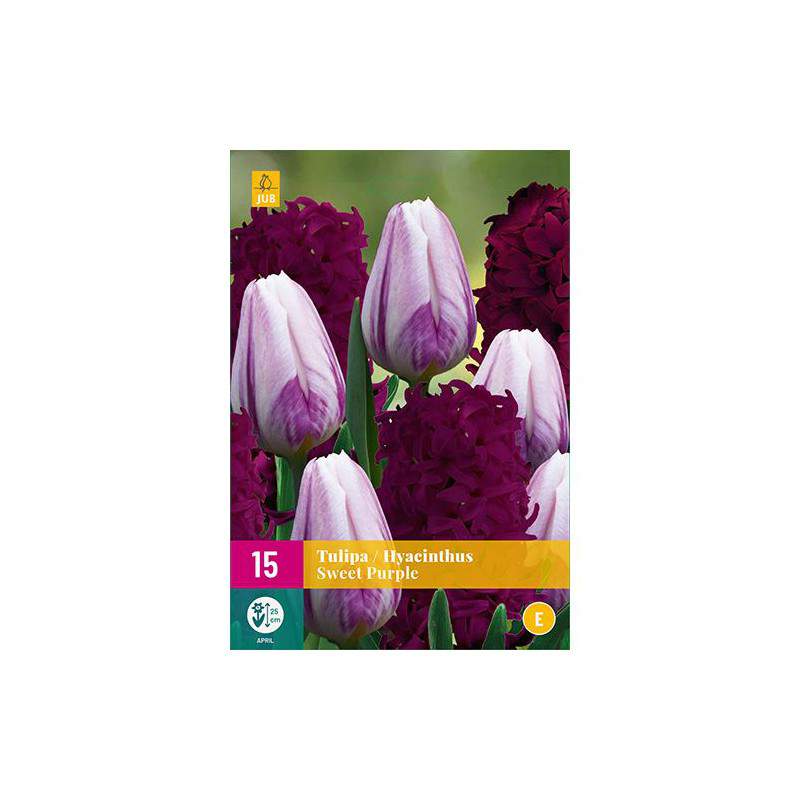 Bulbes de tulipes et jacinthes Mélange pourpre doux