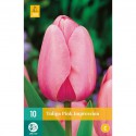 bulbe rose de tulipe rose d’impression