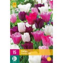 Bulbos de tulipa Pastel Mix