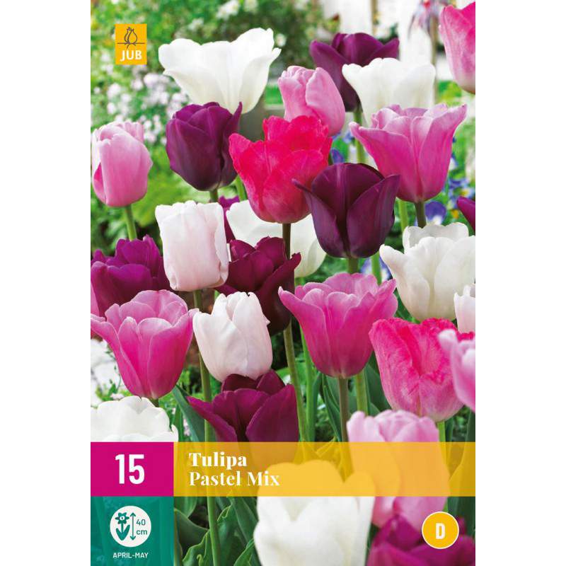 Bulbes de tulipes Pastel Mix