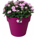 Elho Flower Pot Green Basics top Planter 23cm in Active Black, 23x23x19 cm