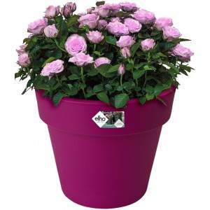 Elho Flower Pot Green Basics top Plantador 23cm em Preto Ativo, 23x23x19 cm