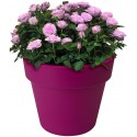Elho Flower Pot Green Basics Macetero superior 23cm en Active Black, 23x23x19 cm