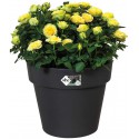 Elho Flower Pot Green Basics top Doniczka 23cm w aktywnej czerni, 23x23x19 cm