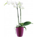 Elho Brussels Diamond Orchid High 12,5 - Pot de fleurs - Rose pâle - Intérieur - Ø 12,7 x H 15,2 cm