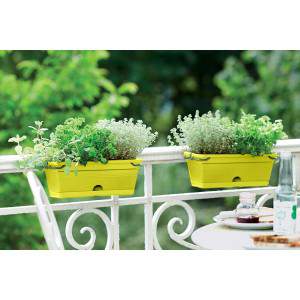 Elho Green Basics Trough Mini Allin1 30 - Planter - Leaf Green - Outdoor & Balcony - L 30.2 x W 19.5 x H 15.6 cm