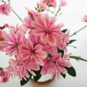 Vaso Lewisia flor rosa de 14cm
